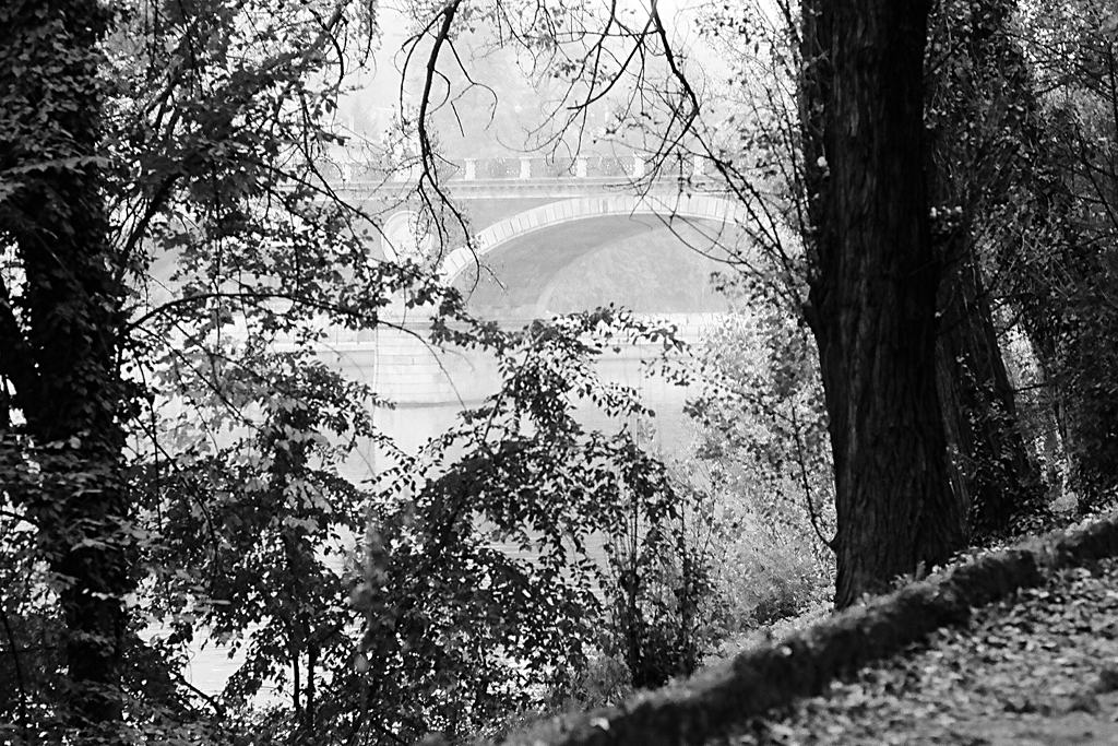 Ponte nella nebbia
