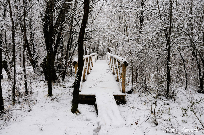 Sorgenti del Cavuto - Anversa (AQ)