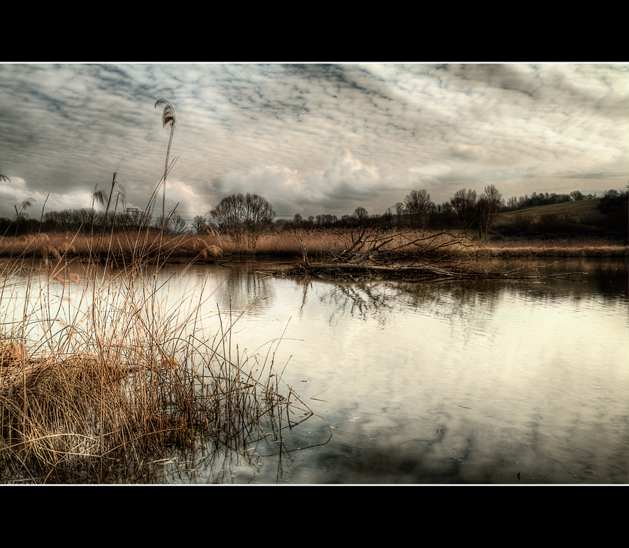 La mia campagna a modo mio #V