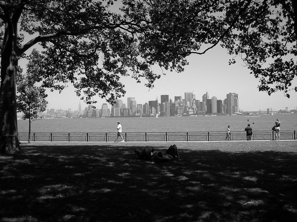 La grande mela tra le fronde