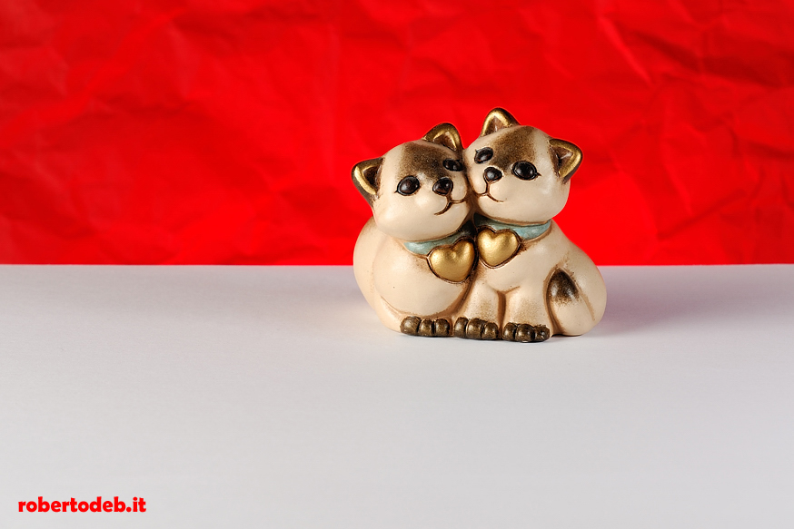 Gattini - San Valentino