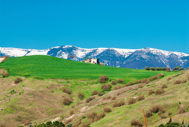 scorcio d' abruzzo