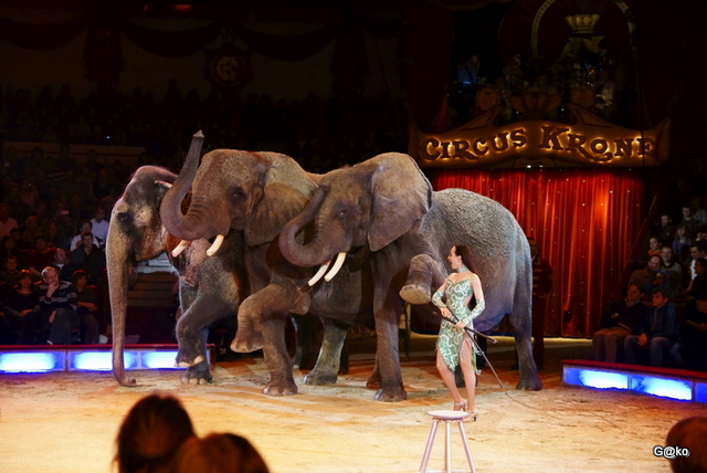 L'immortale magia del circo