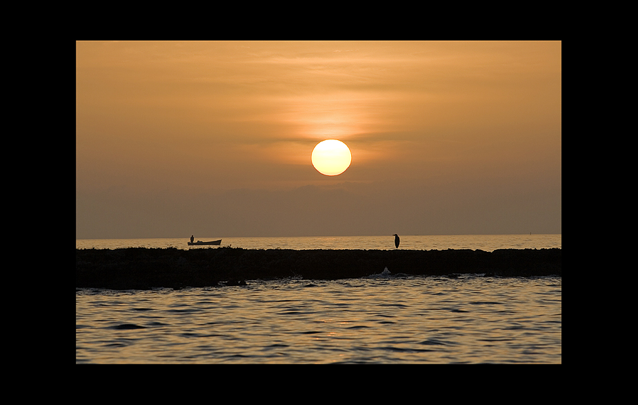 l'airone e il pescatore...