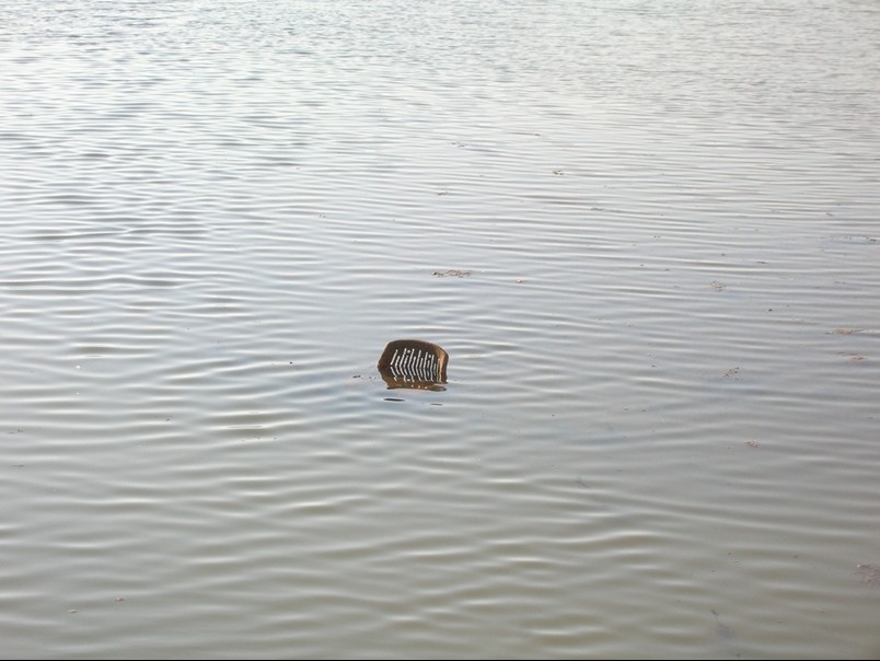 La sedia in mezzo al mar...