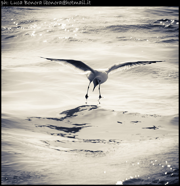 camminare sull'acqua