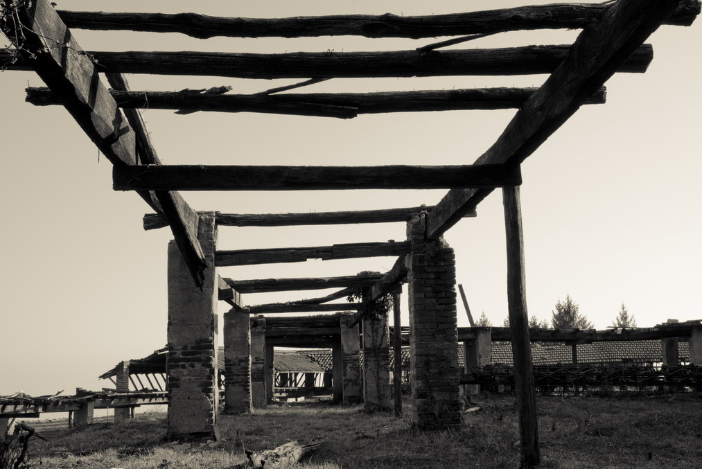 Vecchi ruderi