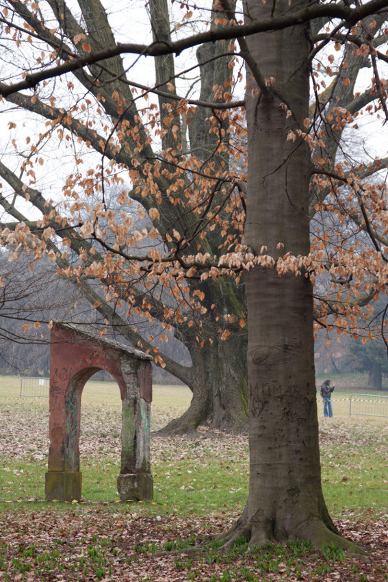 datemi un parere per corso foto...
