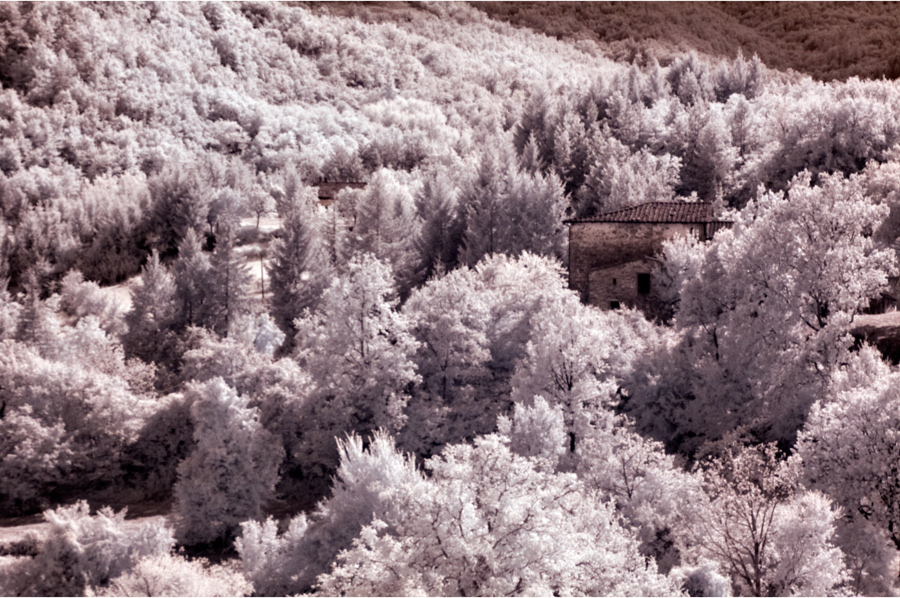 Immersa nel bianco .:ir:.