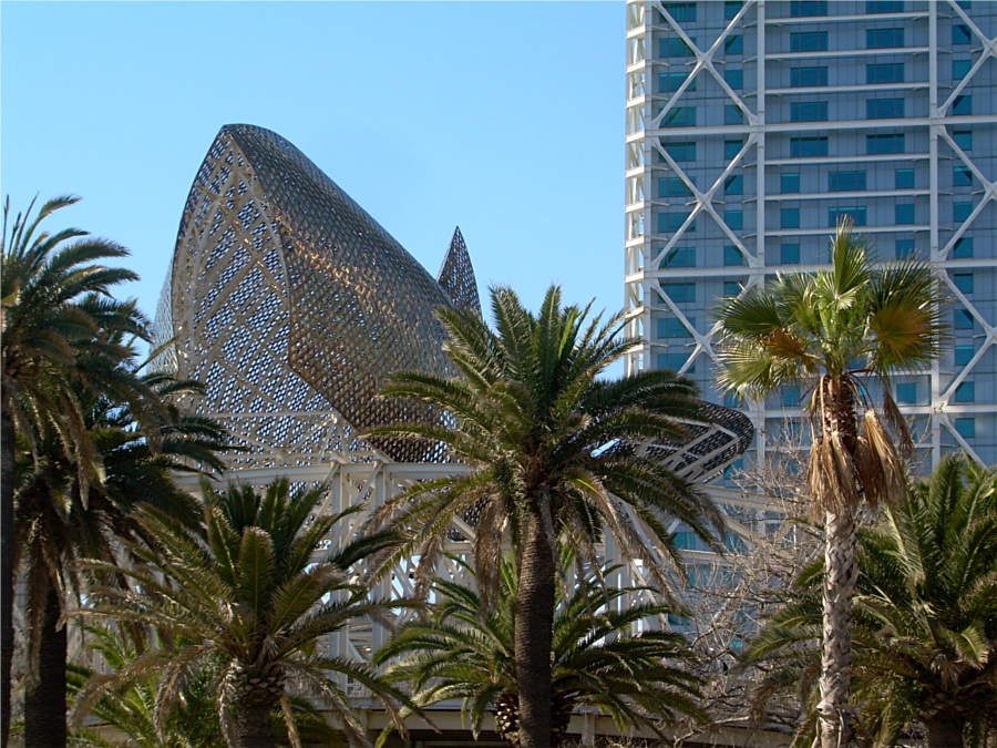 La balena di Gehry - 3