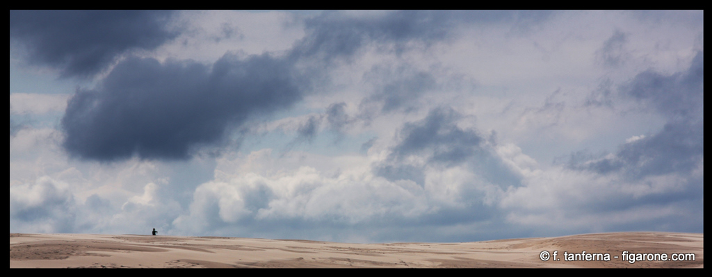 Le dune di Raabjerg Mile 2 (Denmark)