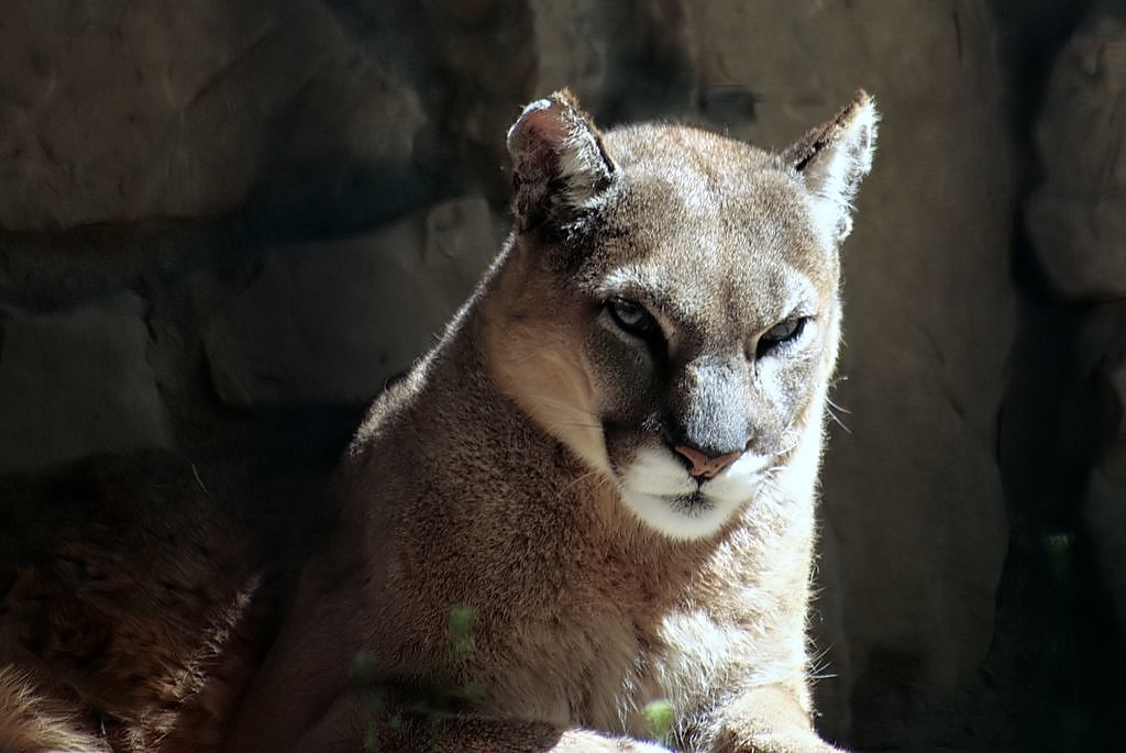Avvicinati a tuo rischio....