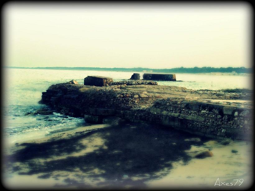 primi scatti canon g12