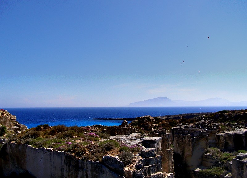 i quattro in volo.........