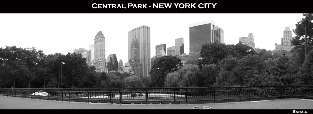 panorama - central park