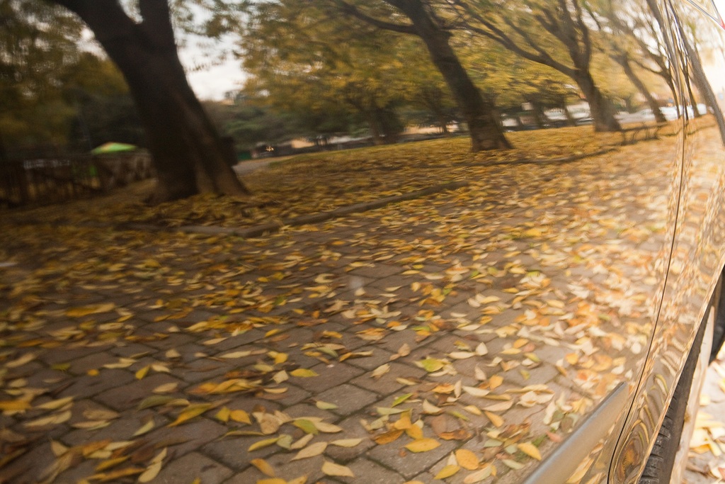 Automobile ecologica