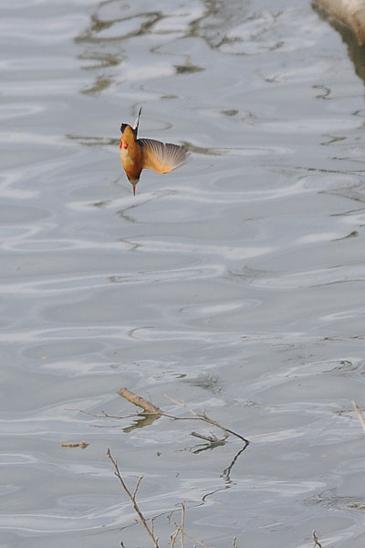 dopo una lunga attesa.......