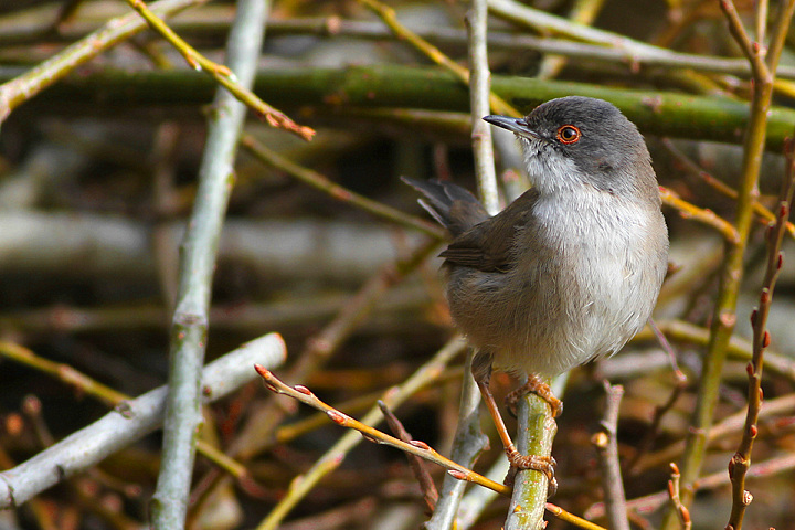 QUANTA PAZIENZA.........
