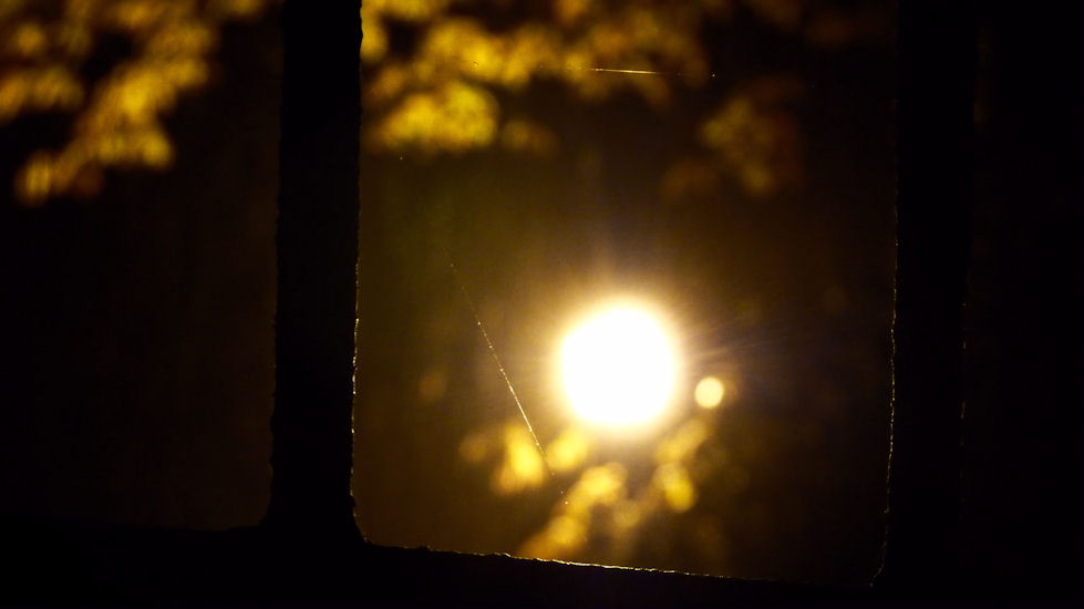 a wire of spider web