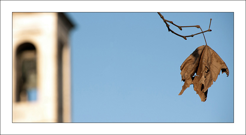 Autunno, inverno e ancora primavera..
