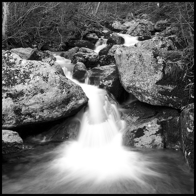 ice age: the other meltdown