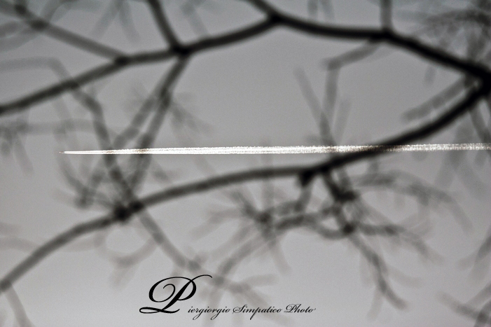 La Verit� � Luce