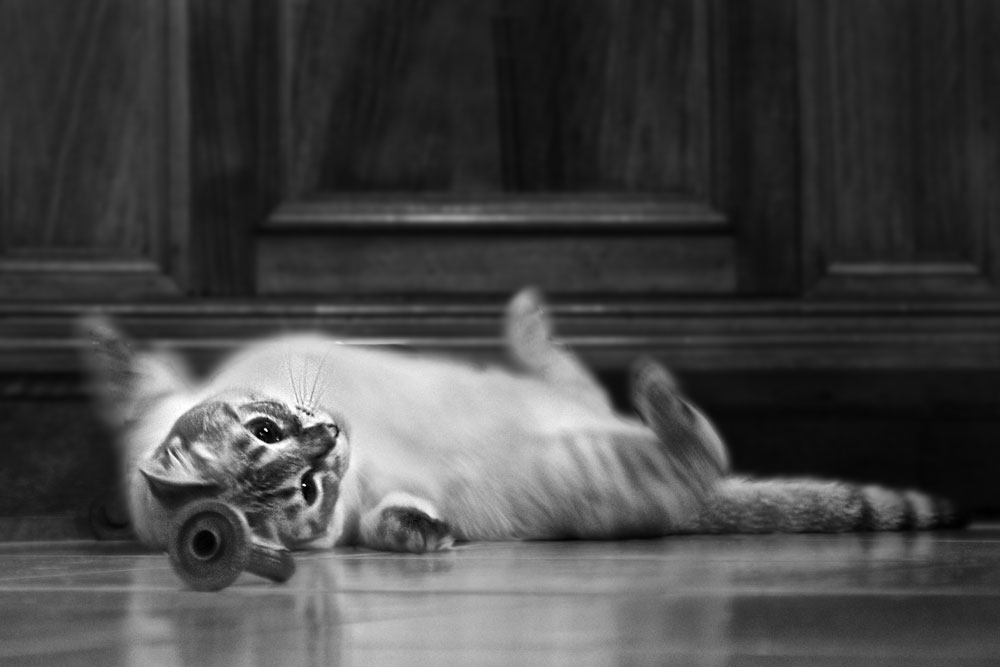 Sottosopra [Contest Mancato]