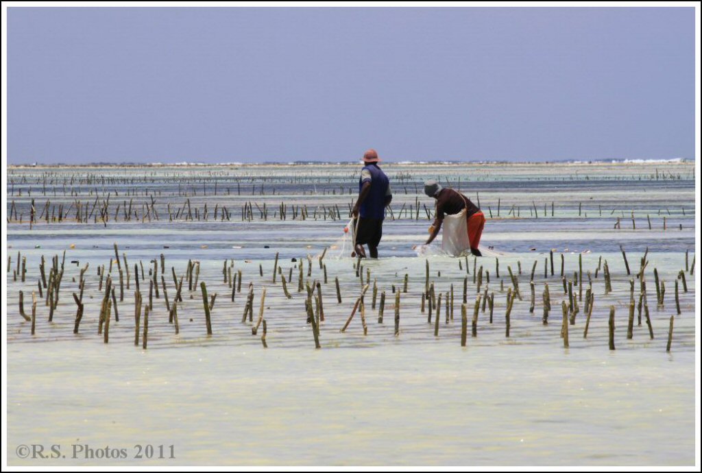 Vita di Mare in Tanzania
