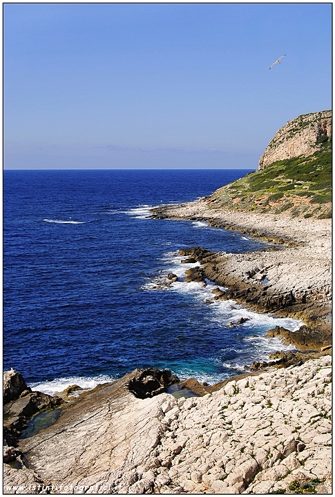 Scogliera di Levanzo - Egadi (TP)