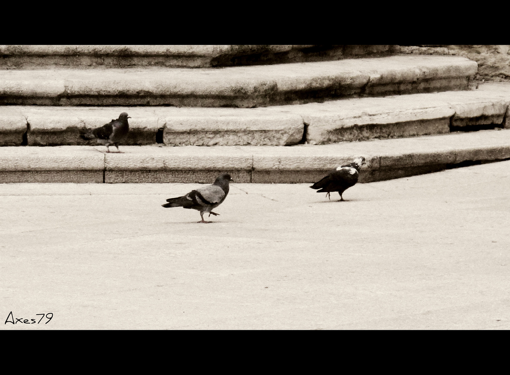 I tre dell'ave maria.........