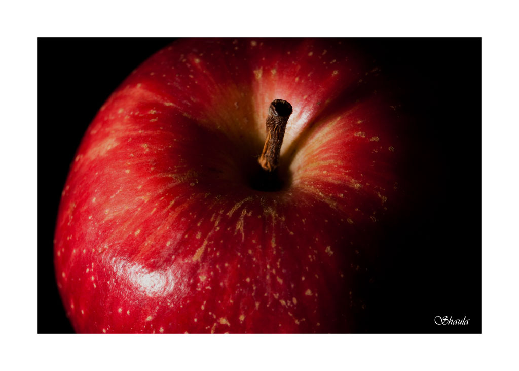 "Vuoi assaggiarla? Tieni..coraggio...dalle un morso!"