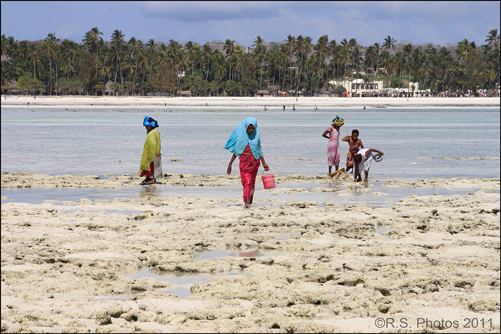 Pescatrici di conchiglie