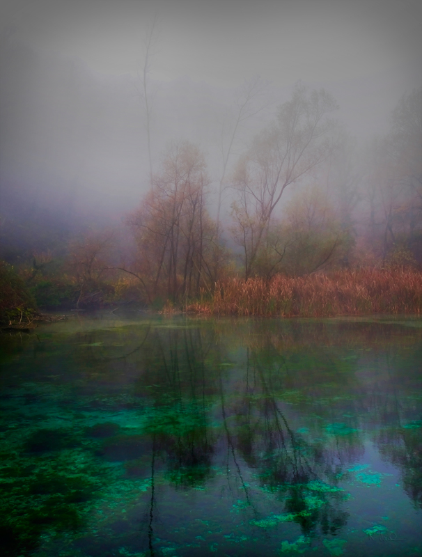 Nebbie a Boccafornace...