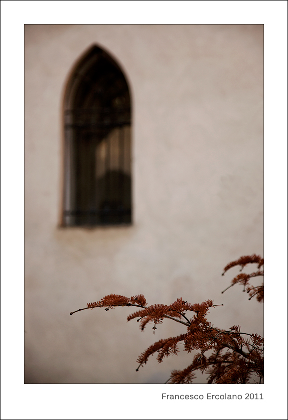 Diario Amalfitano 2011