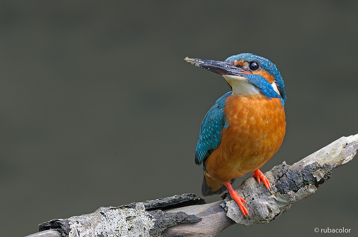 Una pausa dal lavoro