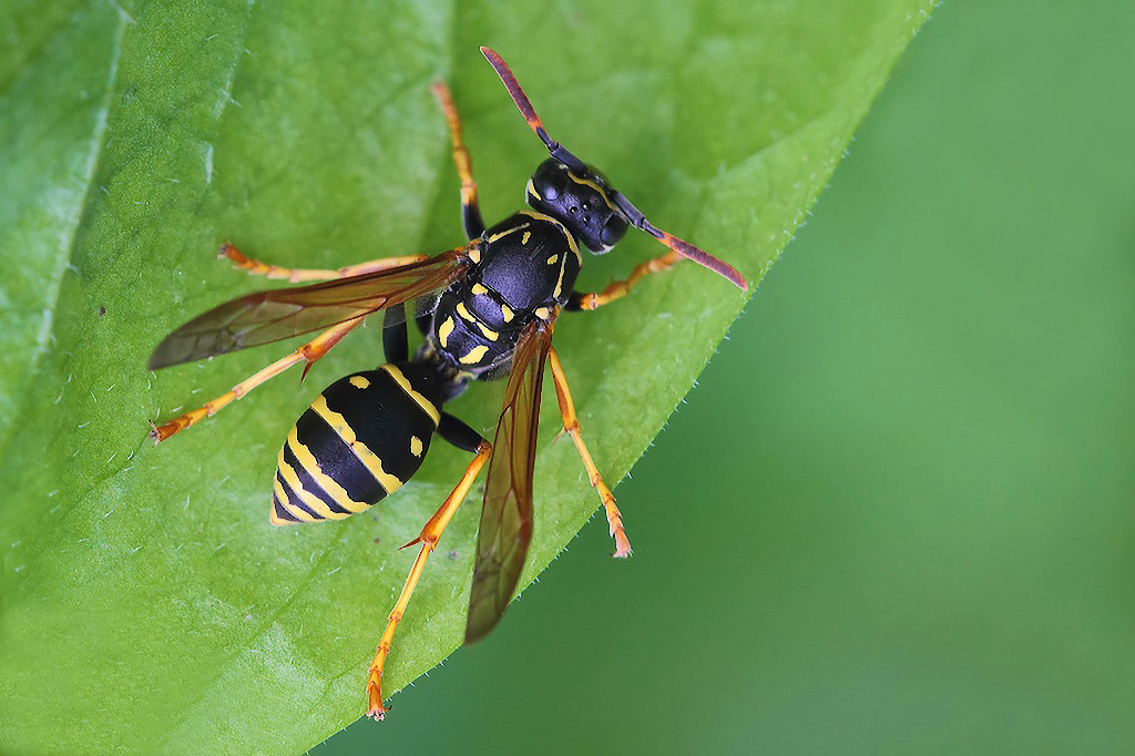...Vista Dall'Alto...!!!
