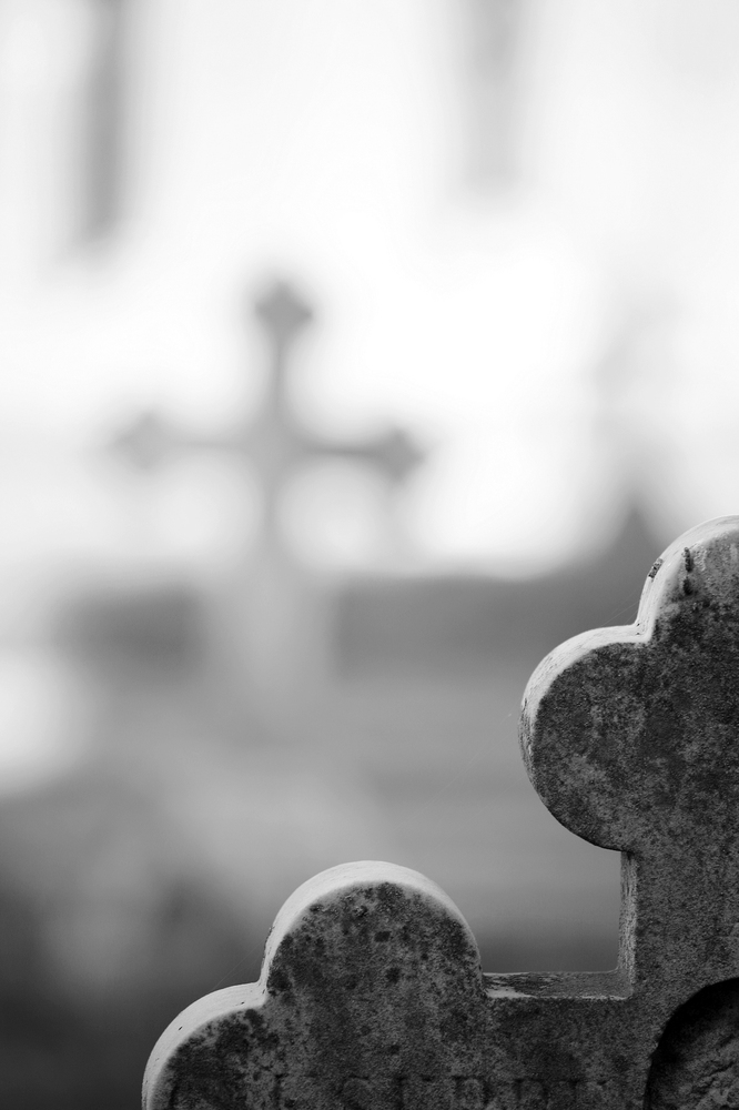 Memorie dell'umanit�