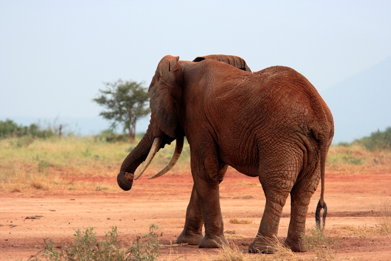 Prova ad avvicinarti ancora.....