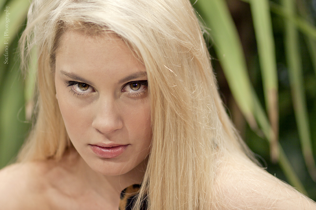 In the Jungle #2 [Photoshow 2011]