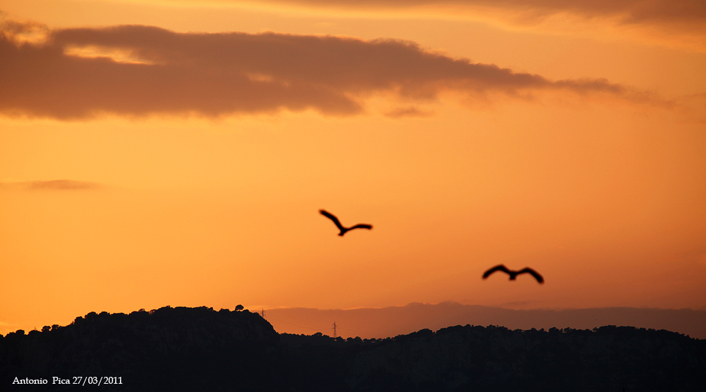 Volo di perlustazione in coppia