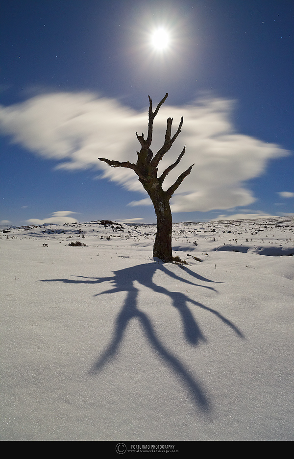 Daydreams & Nightmare