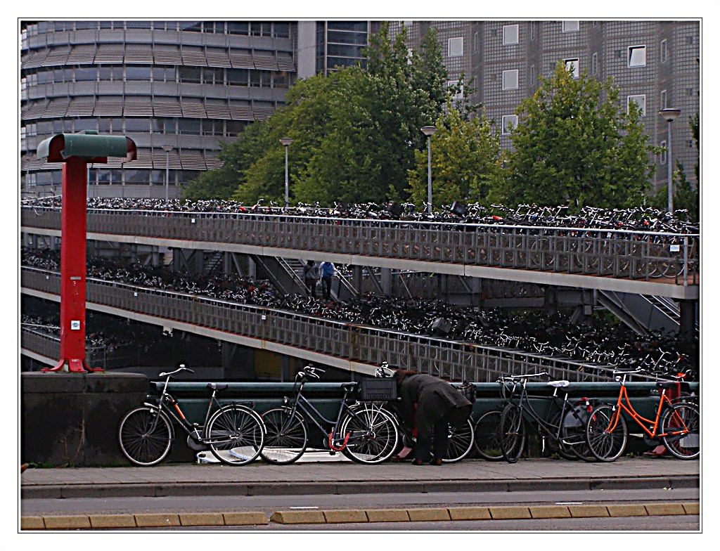 .......sar� la mia?