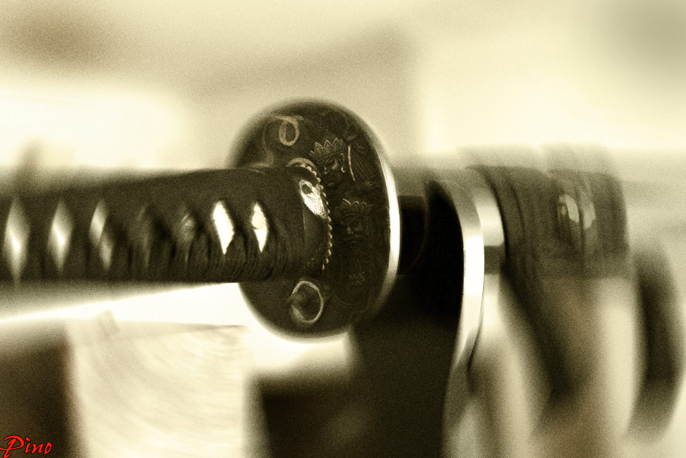 Terremoto in Giappone