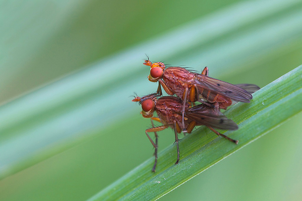 ...Effetto Primavera...!!!