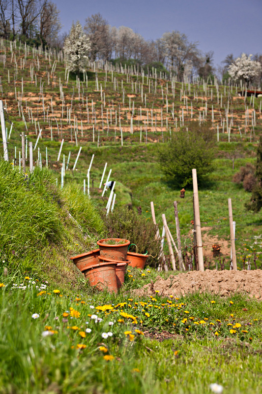 un momento di quiete