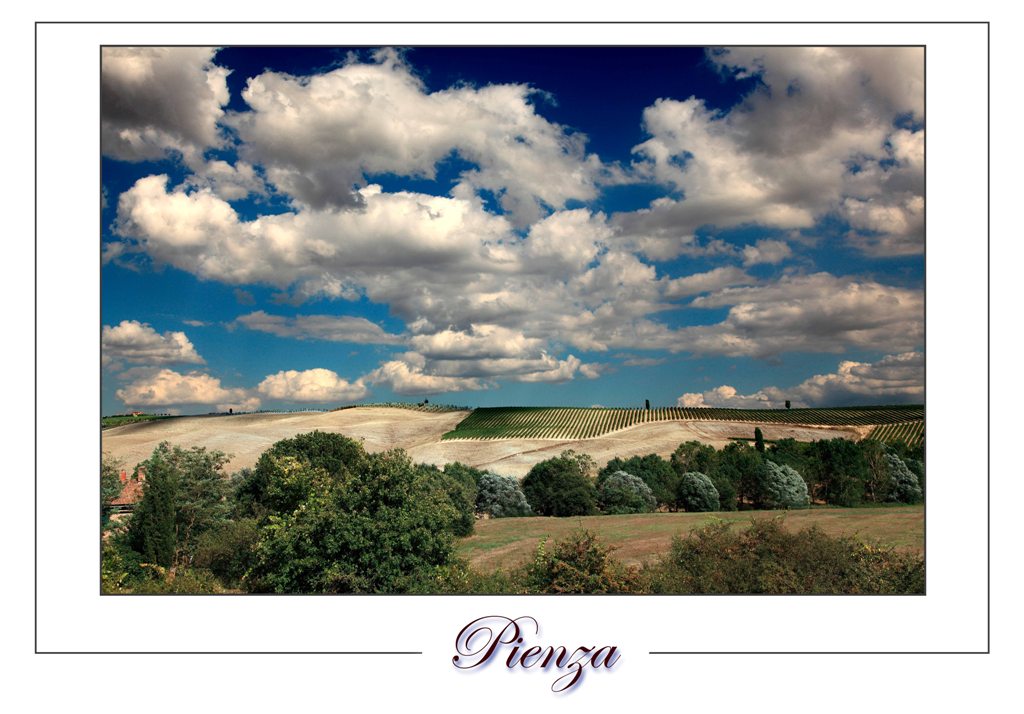 Tra le colline di Pienza....