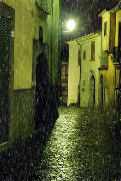 Candida di Notte 015