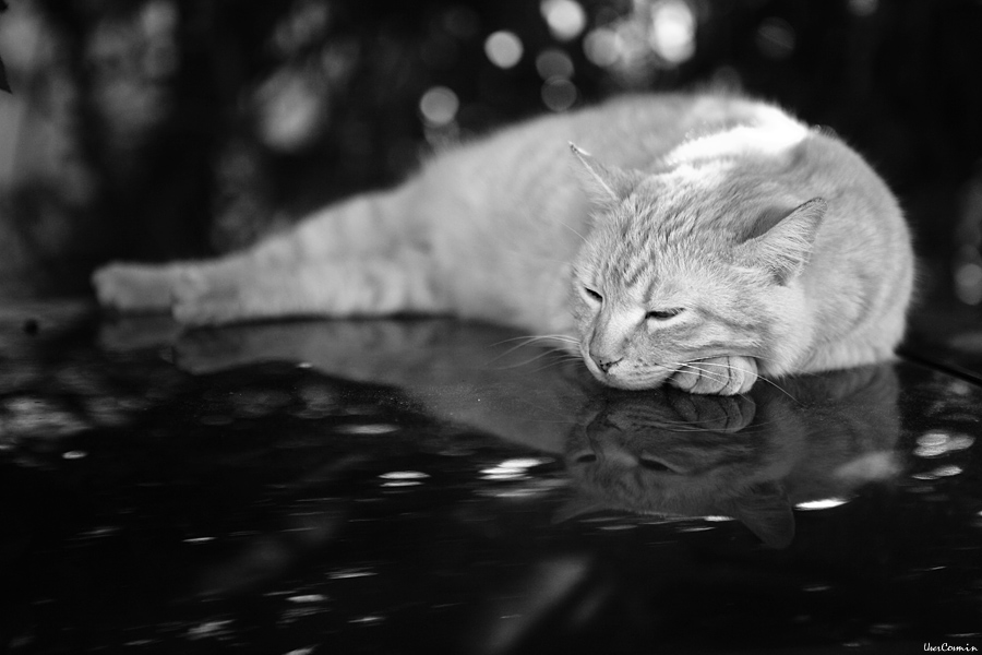 Un po di relax, ci vuole...