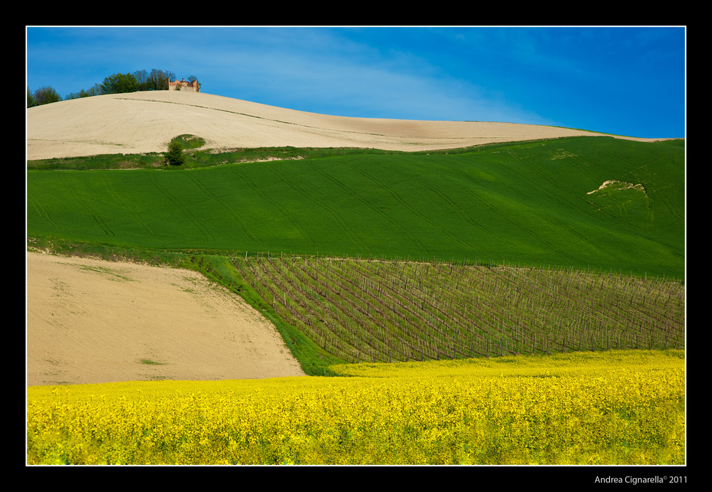 Tavolozza Primaverile