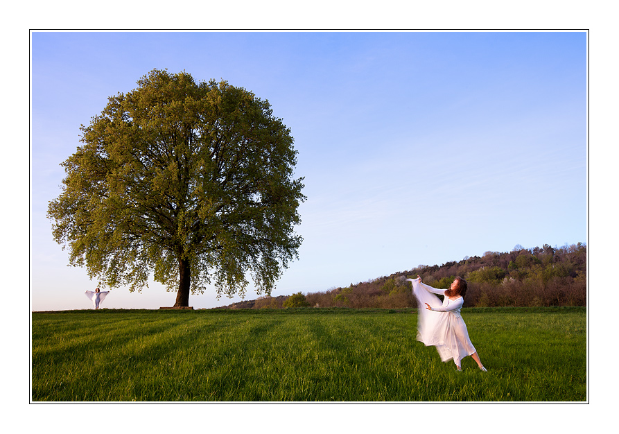Angels of the big tree